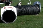 Tunnel 6 meter zwart
